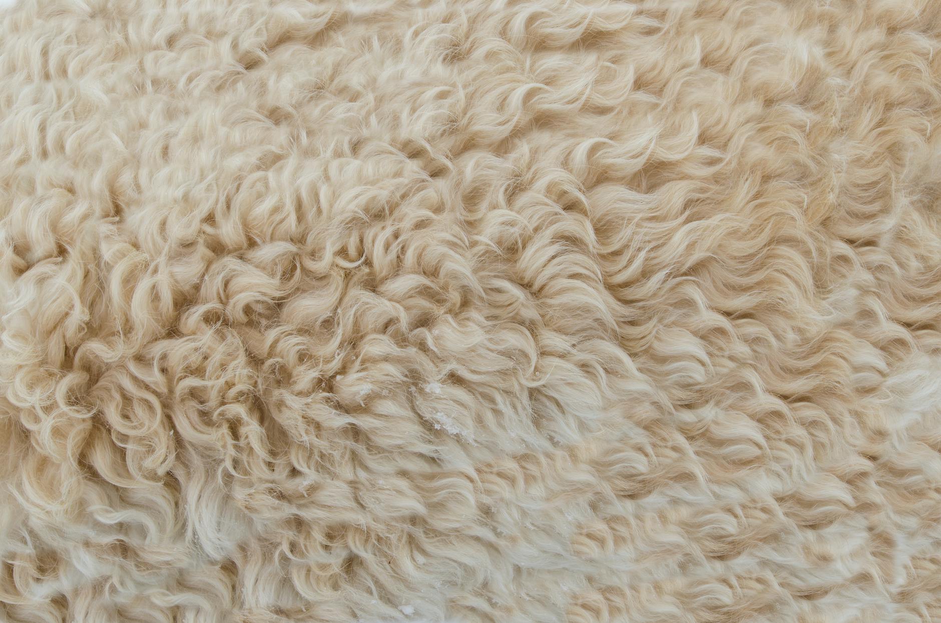 beige fur